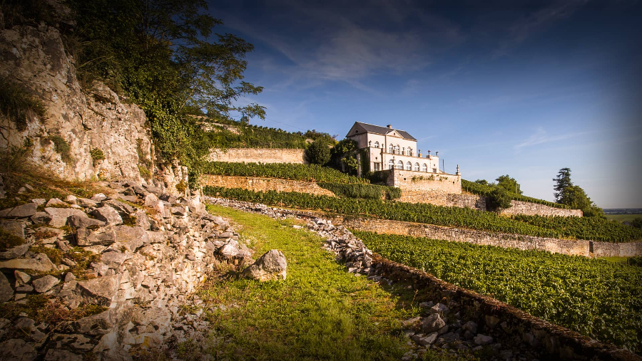 风土各异酝佳酿：从长笛酒庄到灰色城堡，尽显毕修家族酿酒赤诚